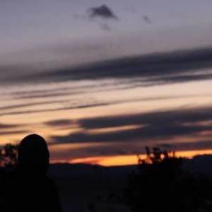 Meet your Posher, Lane